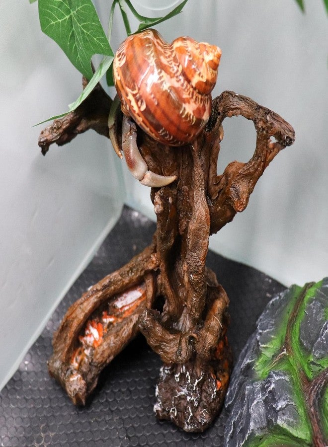 Neeenn Hermit Crab Climbing Toy, Aquarium Betta Fish Hideout Caves, Resin Tree Trunk Ornament, Tank or Aquarium Decorations, Climbing and Hide Toy for Reptile Lizard Newt Hermit Crab - Image 2